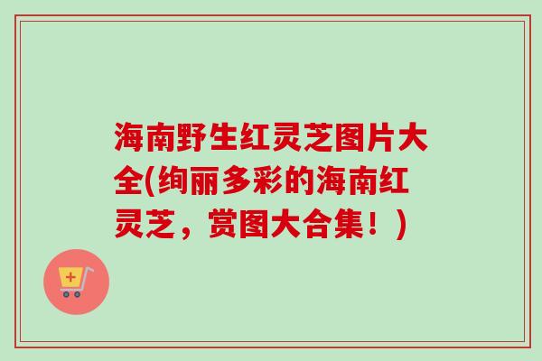 海南野生红灵芝图片大全(绚丽多彩的海南红灵芝，赏图大合集！)