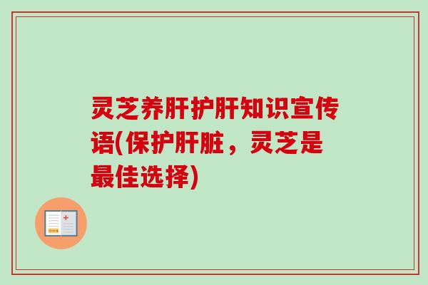 灵芝养肝护肝知识宣传语(保护肝脏，灵芝是最佳选择)