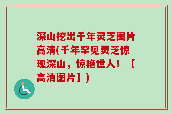 深山挖出千年灵芝图片高清(千年罕见灵芝惊现深山，惊艳世人！【高清图片】)