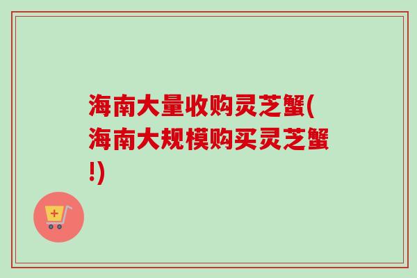 海南大量收购灵芝蟹(海南大规模购买灵芝蟹!)