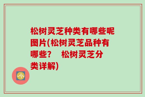 松树灵芝种类有哪些呢图片(松树灵芝品种有哪些？  松树灵芝分类详解)
