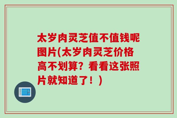 太岁肉灵芝值不值钱呢图片(太岁肉灵芝价格高不划算?看看这张照片就知道了!) 太岁肉灵芝值不值钱呢图片(太岁肉灵芝价格高不划算?看看这张照片就知道了!)