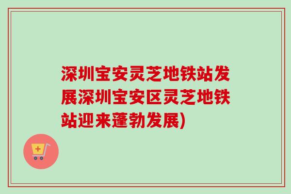 深圳宝安灵芝地铁站发展深圳宝安区灵芝地铁站迎来蓬勃发展)