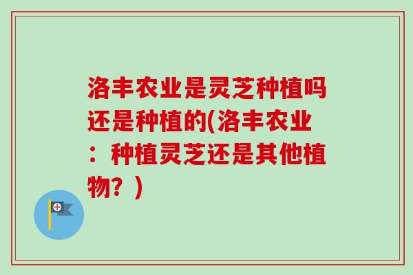 洛丰农业是灵芝种植吗还是种植的(洛丰农业：种植灵芝还是其他植物？)