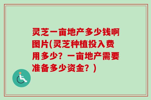 灵芝一亩地产多少钱啊图片(灵芝种植投入费用多少？一亩地产需要准备多少资金？)