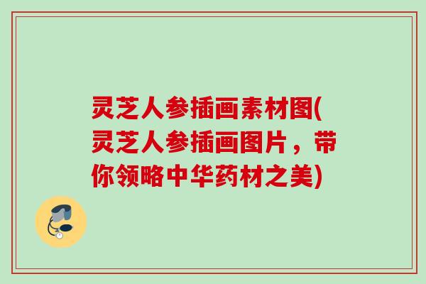 灵芝人参插画素材图(灵芝人参插画图片，带你领略中华药材之美)