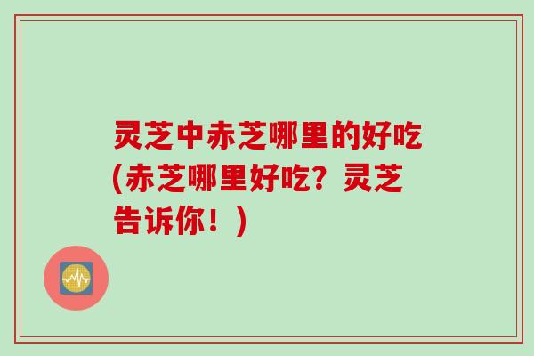 灵芝中赤芝哪里的好吃(赤芝哪里好吃？灵芝告诉你！)