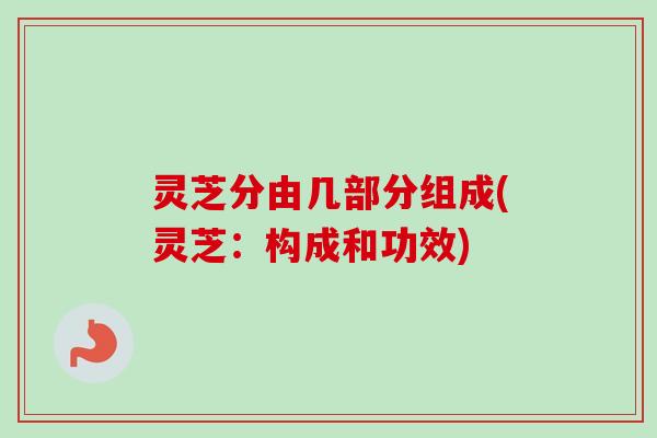 灵芝分由几部分组成(灵芝：构成和功效)