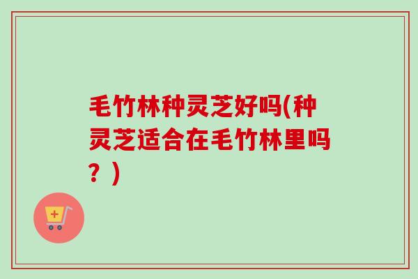 毛竹林种灵芝好吗(种灵芝适合在毛竹林里吗？)