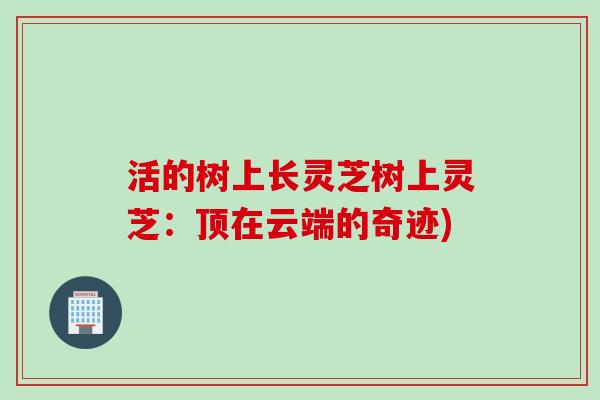 活的树上长灵芝树上灵芝：顶在云端的奇迹)