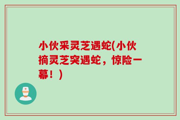 小伙采灵芝遇蛇(小伙摘灵芝突遇蛇，惊险一幕！)