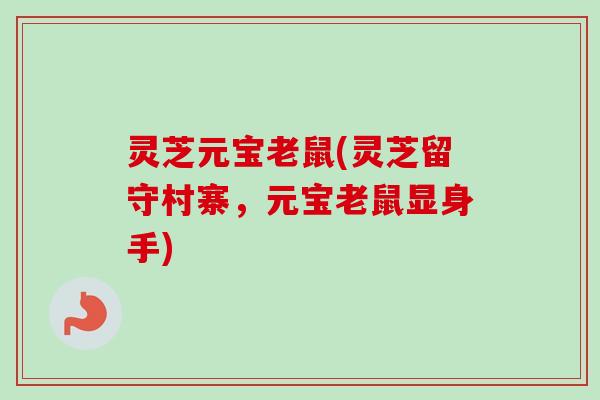 灵芝元宝老鼠(灵芝留守村寨,元宝老鼠显身手) 灵芝元宝老鼠(灵芝留守村寨,元宝老鼠显身手)