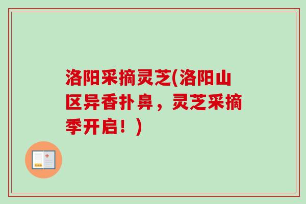 洛阳采摘灵芝(洛阳山区异香扑鼻，灵芝采摘季开启！)