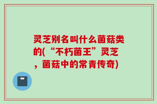 灵芝别名叫什么菌菇类的(“不朽菌王”灵芝，菌菇中的常青传奇)
