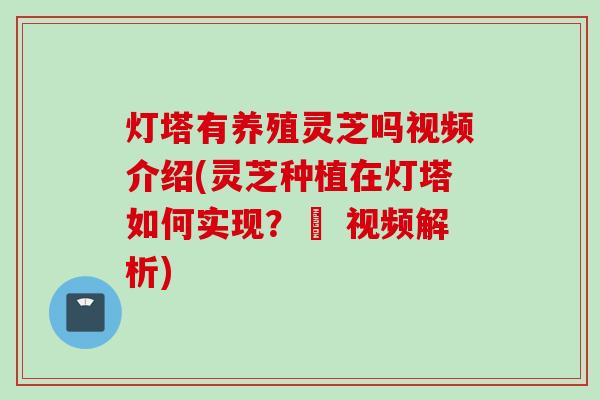 灯塔有养殖灵芝吗视频介绍(灵芝种植在灯塔如何实现？– 视频解析)