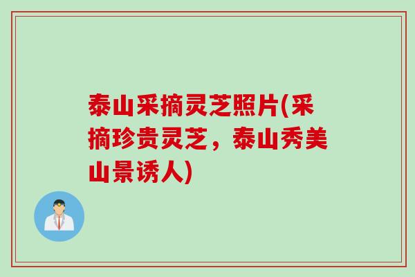 泰山采摘灵芝照片(采摘珍贵灵芝，泰山秀美山景诱人)