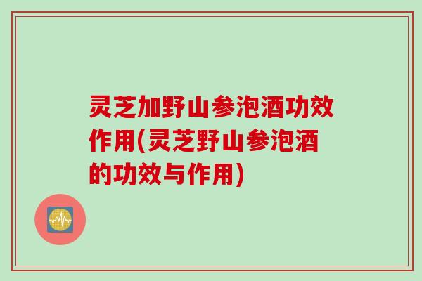 灵芝加野山参泡酒功效作用(灵芝野山参泡酒的功效与作用)