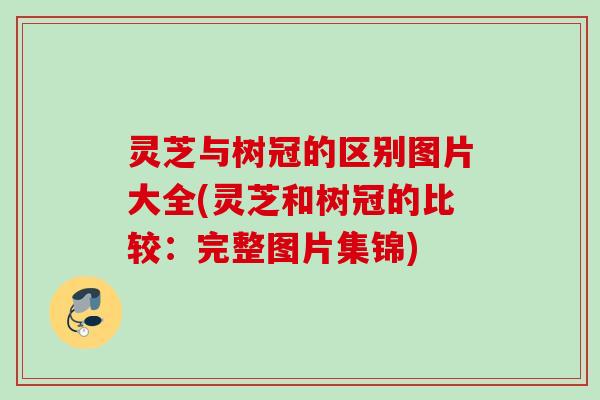 灵芝与树冠的区别图片大全(灵芝和树冠的比较：完整图片集锦)