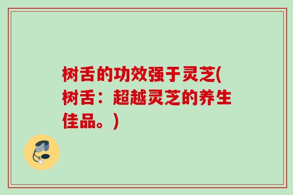 树舌的功效强于灵芝(树舌：超越灵芝的养生佳品。)