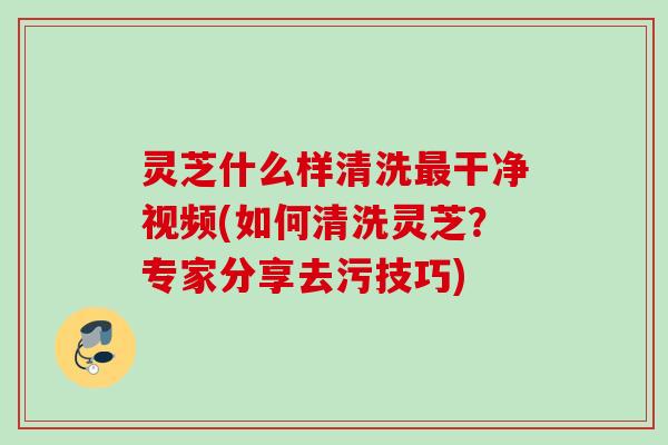 灵芝什么样清洗干净视频(如何清洗灵芝?专家分享去污技巧) 灵芝什么样清洗干净视频(如何清洗灵芝?专家分享去污技巧)