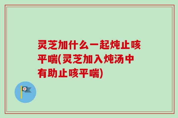灵芝加什么一起炖止咳平喘(灵芝加入炖汤中有助止咳平喘)