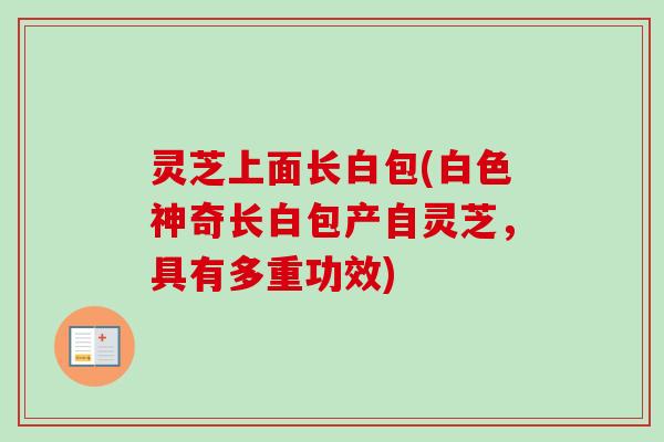 灵芝上面长白包(白色神奇长白包产自灵芝，具有多重功效)
