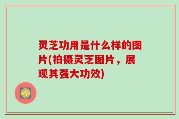 灵芝功用是什么样的图片(拍摄灵芝图片，展现其强大功效)