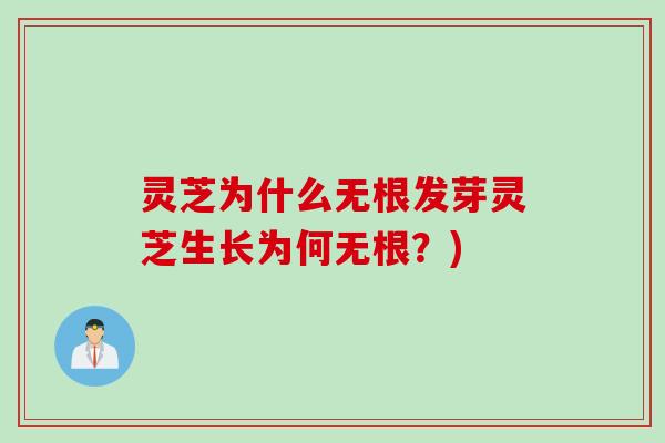灵芝为什么无根发芽灵芝生长为何无根？)