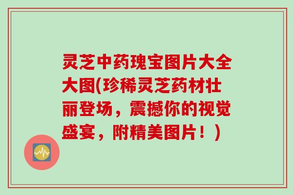 灵芝中药瑰宝图片大全大图(珍稀灵芝药材壮丽登场，震撼你的视觉盛宴，附精美图片！)