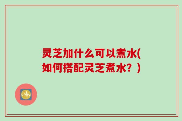 灵芝加什么可以煮水(如何搭配灵芝煮水？)