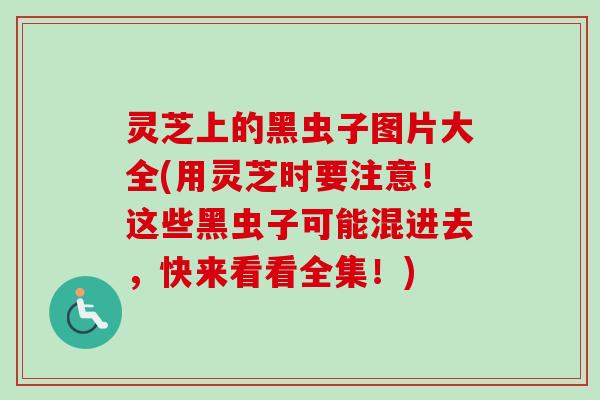 灵芝上的黑虫子图片大全(用灵芝时要注意！这些黑虫子可能混进去，快来看看全集！)