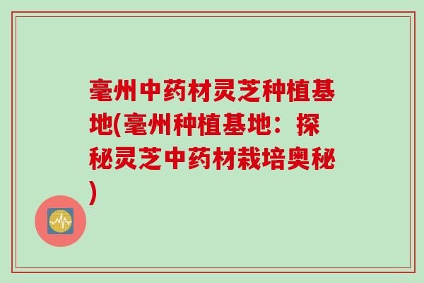 毫州中药材灵芝种植基地(毫州种植基地：探秘灵芝中药材栽培奥秘)
