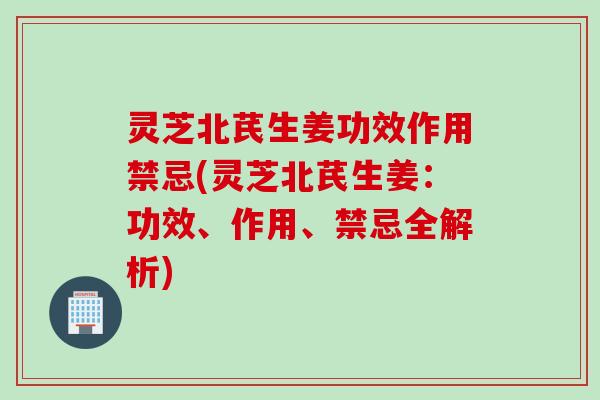 灵芝北芪生姜功效作用禁忌(灵芝北芪生姜:功效、作用、禁忌全解析) 灵芝北芪生姜功效作用禁忌(灵芝北芪生姜:功效、作用、禁忌全解析)