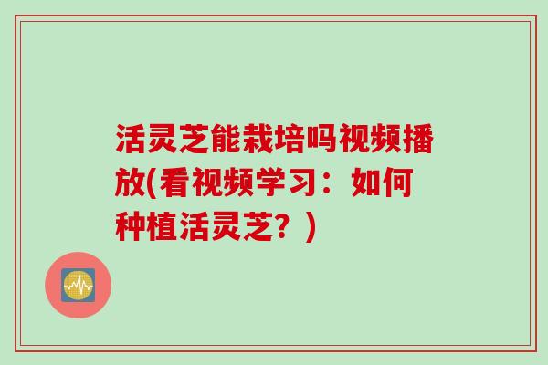 活灵芝能栽培吗视频播放(看视频学习：如何种植活灵芝？)