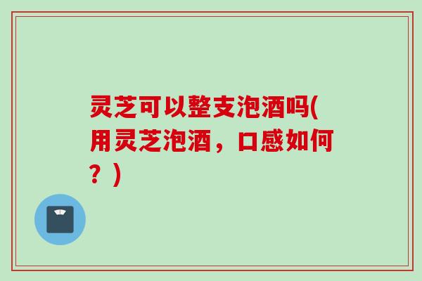 灵芝可以整支泡酒吗(用灵芝泡酒,口感如何?) 灵芝可以整支泡酒吗(用灵芝泡酒,口感如何?)