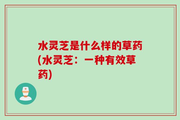 水灵芝是什么样的草药(水灵芝：一种有效草药)