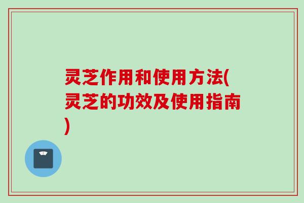 灵芝作用和使用方法(灵芝的功效及使用指南)