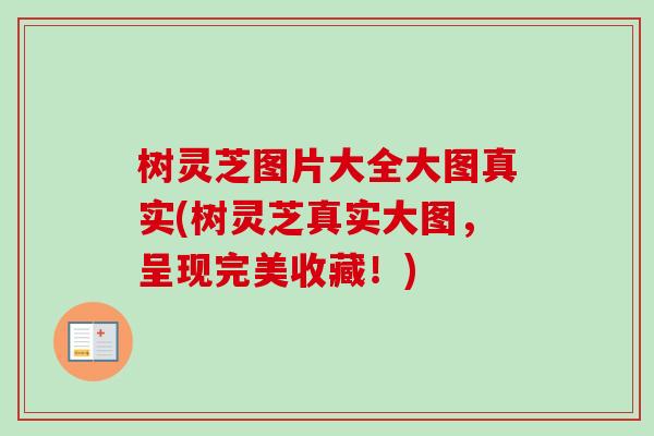 树灵芝图片大全大图真实(树灵芝真实大图,呈现完美收藏!) 树灵芝图片大全大图真实(树灵芝真实大图,呈现完美收藏!)