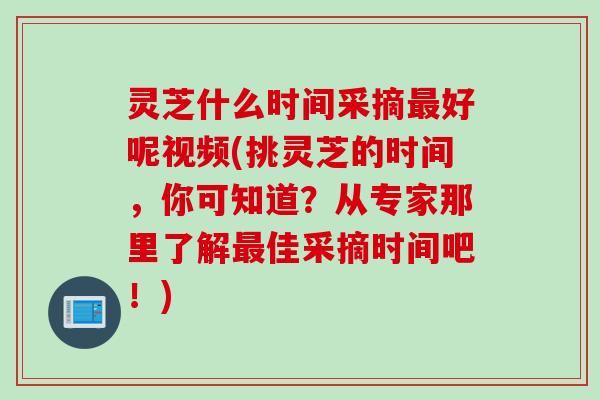 灵芝什么时间采摘最好呢视频(挑灵芝的时间，你可知道？从专家那里了解最佳采摘时间吧！)