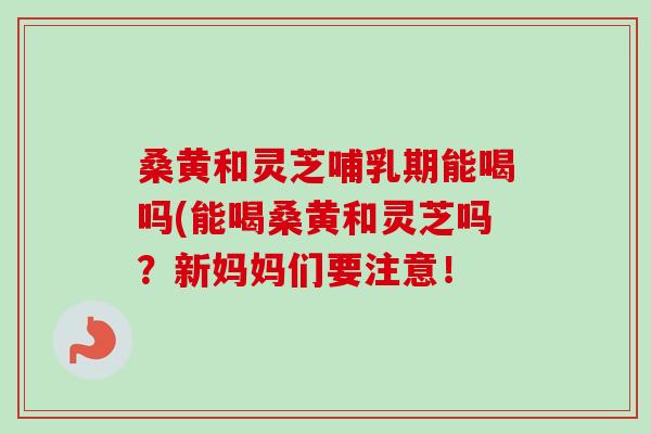 桑黄和灵芝哺乳期能喝吗(能喝桑黄和灵芝吗?新妈妈们要注意! 桑黄和灵芝哺乳期能喝吗(能喝桑黄和灵芝吗?新妈妈们要注意!