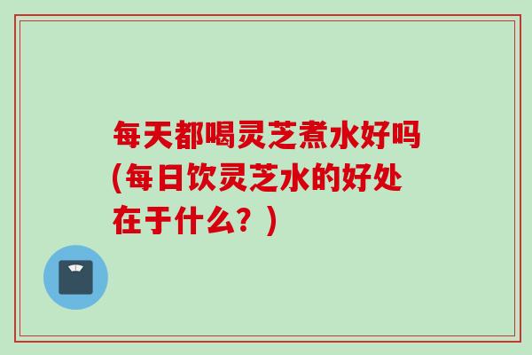 每天都喝灵芝煮水好吗(每日饮灵芝水的好处在于什么？)