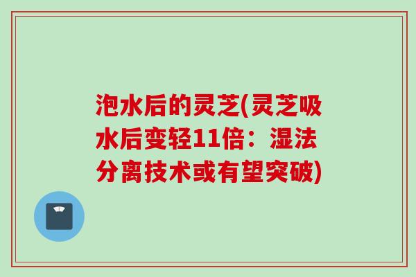 泡水后的灵芝(灵芝吸水后变轻11倍：湿法分离技术或有望突破)