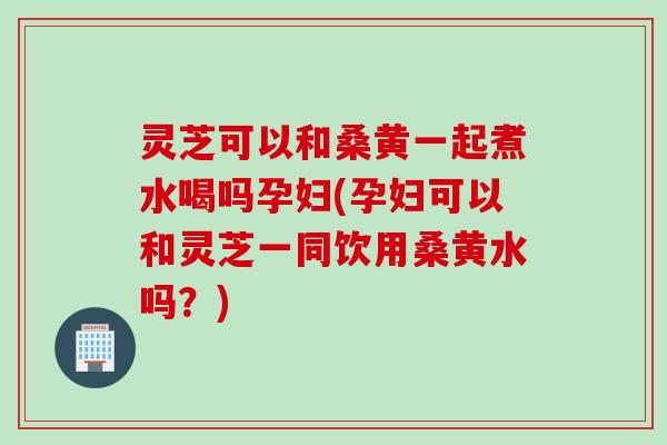 灵芝可以和桑黄一起煮水喝吗孕妇(孕妇可以和灵芝一同饮用桑黄水吗？)