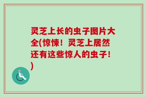 灵芝上长的虫子图片大全(惊悚！灵芝上居然还有这些惊人的虫子！)