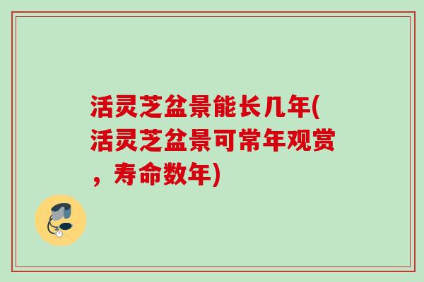活灵芝盆景能长几年(活灵芝盆景可常年观赏,寿命数年) 活灵芝盆景能长几年(活灵芝盆景可常年观赏,寿命数年)