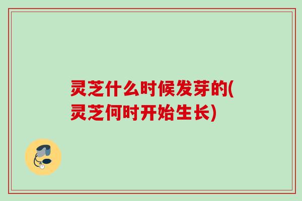 灵芝什么时候发芽的(灵芝何时开始生长)