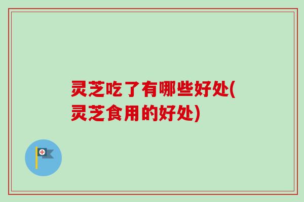灵芝吃了有哪些好处(灵芝食用的好处) 灵芝吃了有哪些好处(灵芝食用的好处)