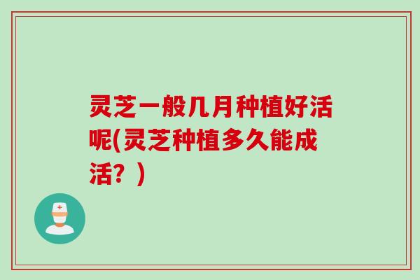 灵芝一般几月种植好活呢(灵芝种植多久能成活?) 灵芝一般几月种植好活呢(灵芝种植多久能成活?)