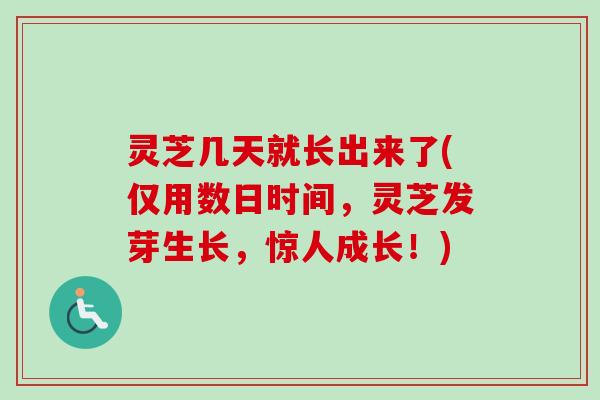 灵芝几天就长出来了(仅用数日时间，灵芝发芽生长，惊人成长！)