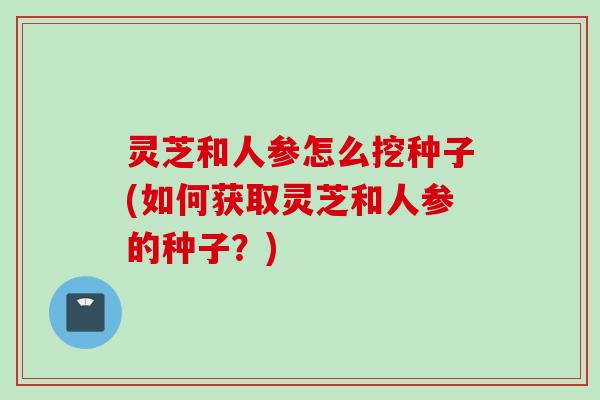 灵芝和人参怎么挖种子(如何获取灵芝和人参的种子？)